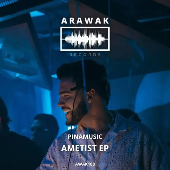 Cover Image: PINAMUSIC, Salcedo - Ametist on Arawak Records