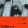 Cover Image for Madrigal Disguised Remix
