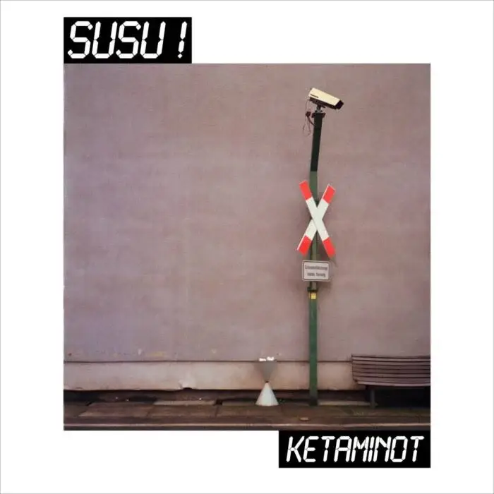Cover Image: Susu ! - Ketaminot on Feines Tier