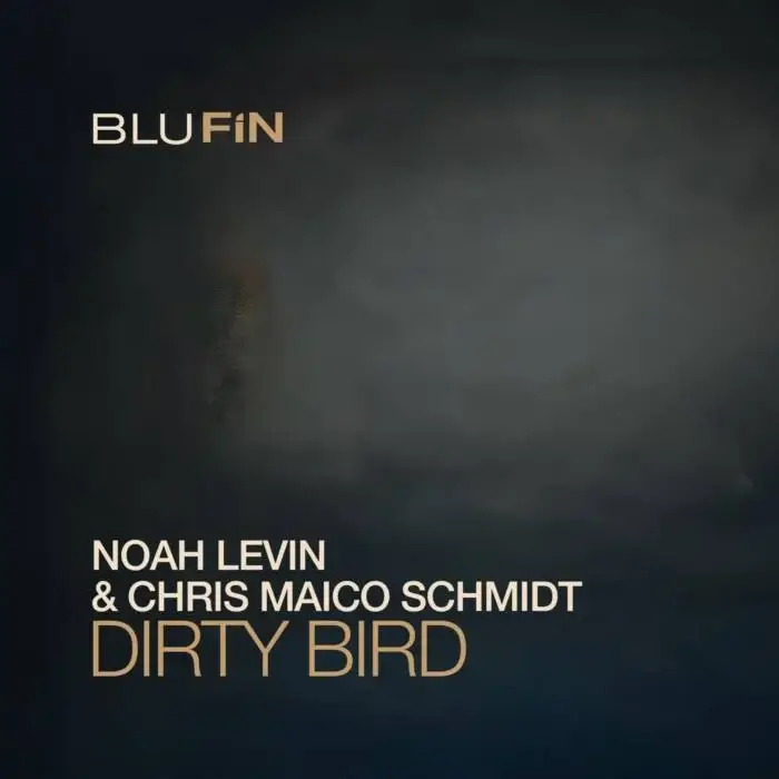 Cover Image: Chris Maico Schmidt, Noah Levin - Dirty Bird on BluFin