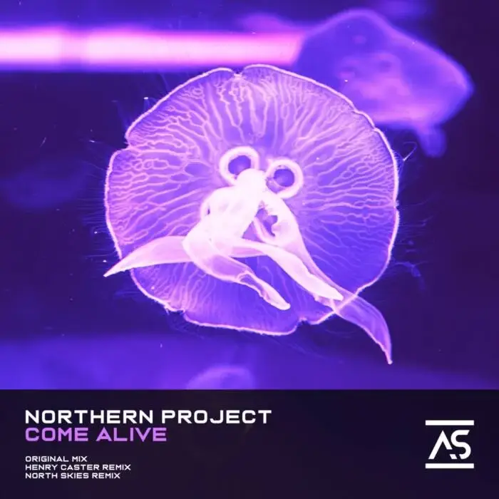 Cover Image: Northern Project - Come Alive on Addictive Sounds