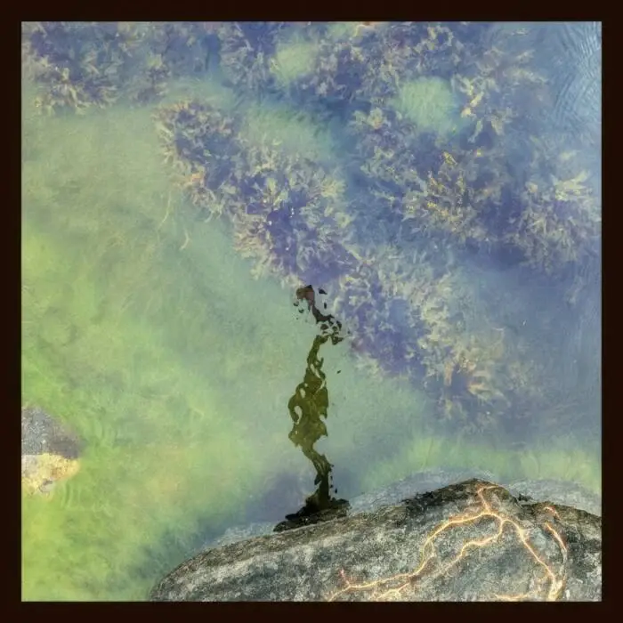 Cover Image: Night Gestalt - 7 Modes for a Revolution on Opal Tapes