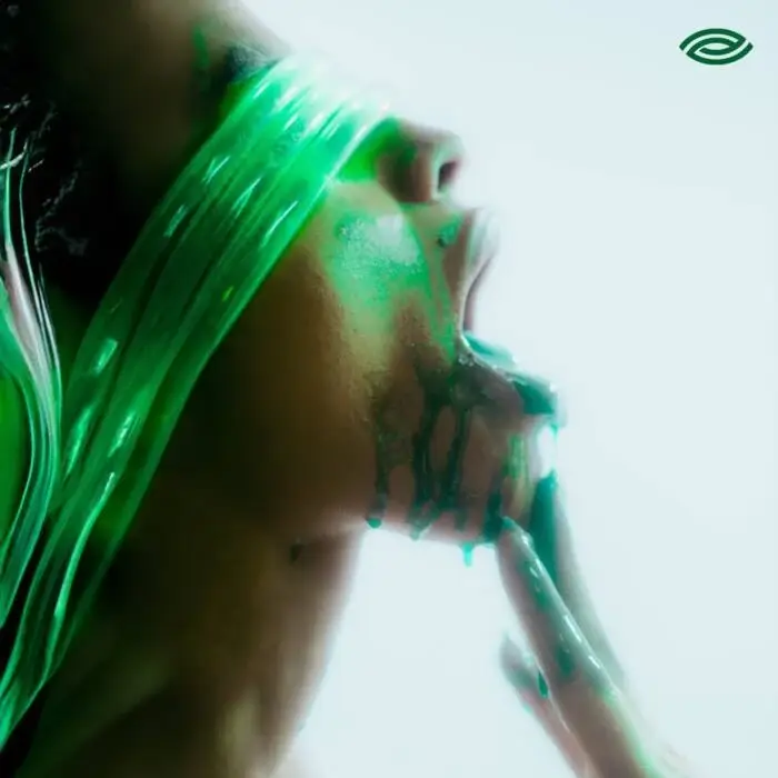 Cover Image: Dream Selecta - Stimulation Groove on Vision Ekstase