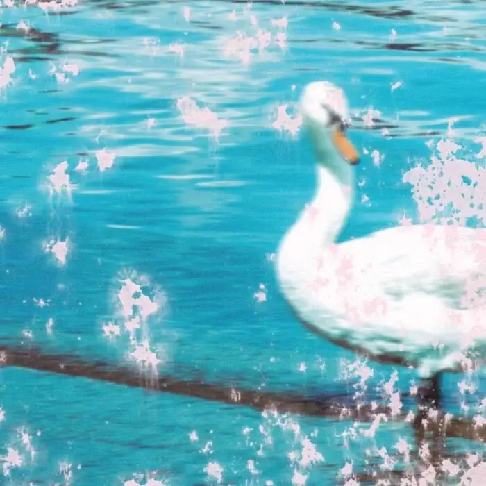 Cover Image: PVAS - Slipstream on Kapsela