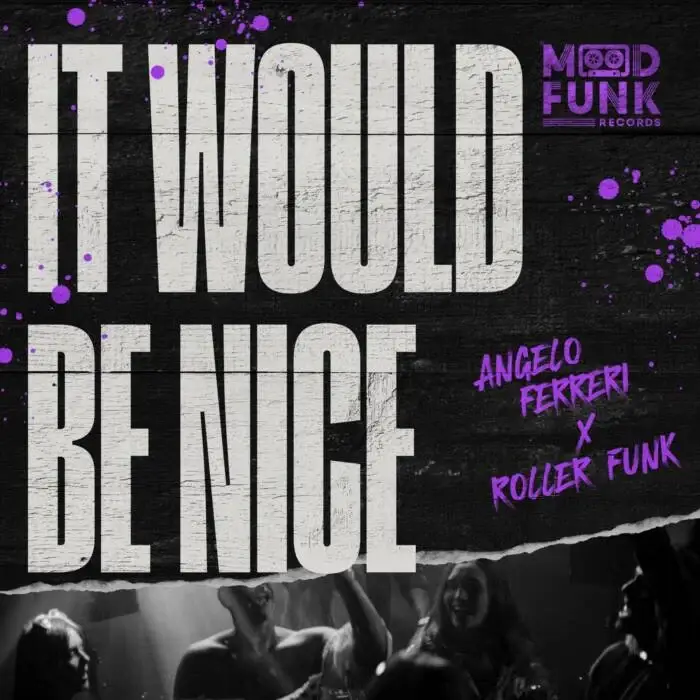 Cover Image: Angelo Ferreri, Roller Funk - It Would Be Nice on Mood Funk Records