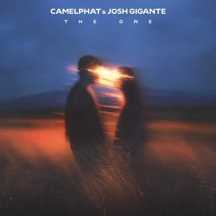 Cover Image: CamelPhat, Josh Gigante - The One (Extended Mix) on When Stars Align
