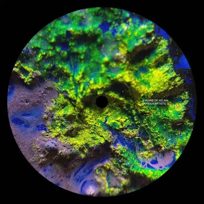 Cover Image: VA - 5 Years Of Xelima on Xelima Records