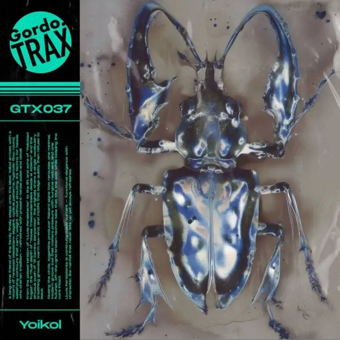 Cover Image: Yoikol - Lluvia Persistente on Gordo Trax