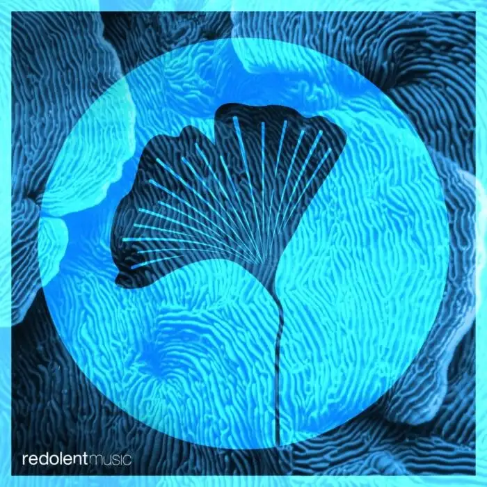 Cover Image: Allan Nunez - Tambora on REDOLENT