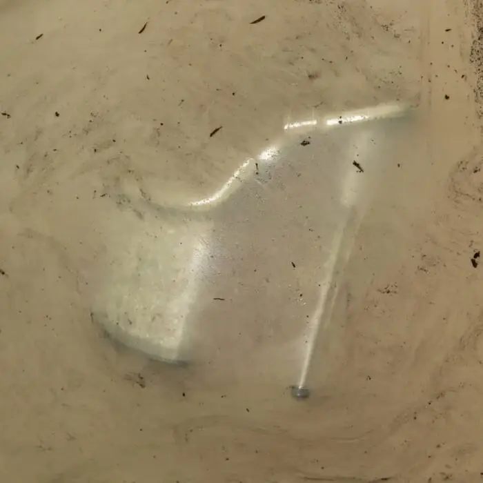 Cover Image: SPFDJ - Heel Thyself on Intrepid Skin