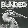 Cover Image for Blinded Original Mix