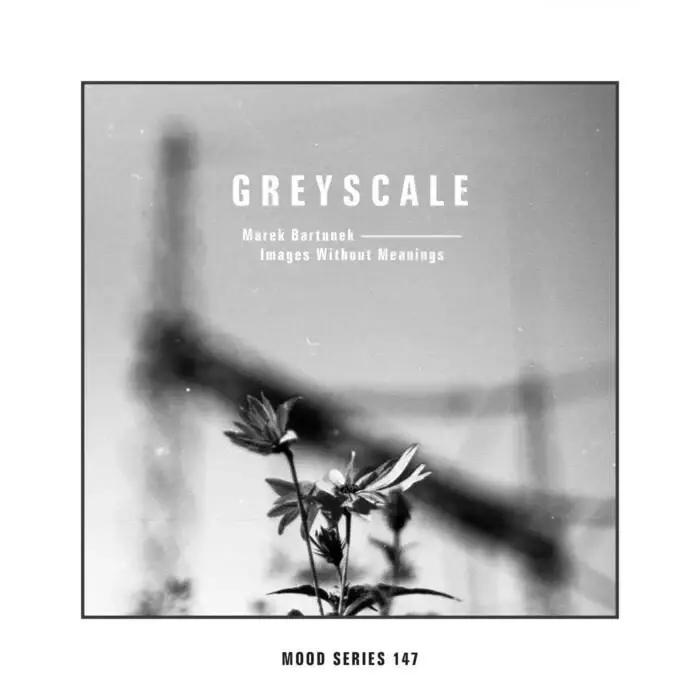 Cover Image: Marek Bartůněk, Inzajeano - Images Without Meanings on Greyscale