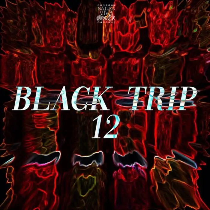 Cover Image: VA - Black Trip 12 on Natura Viva Black