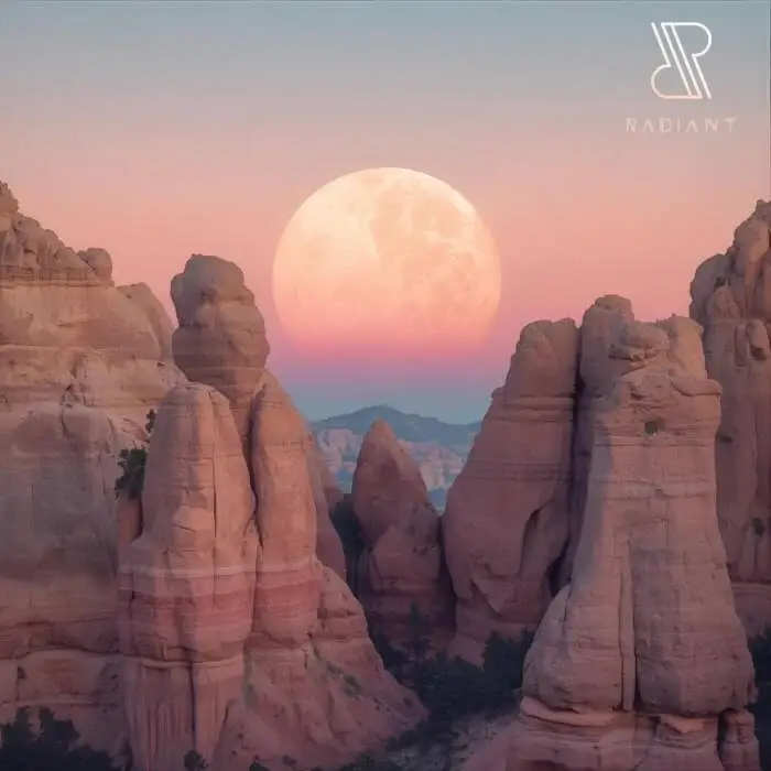 Cover Image: Pacheko, Talbot - Thunda on RADIANT.