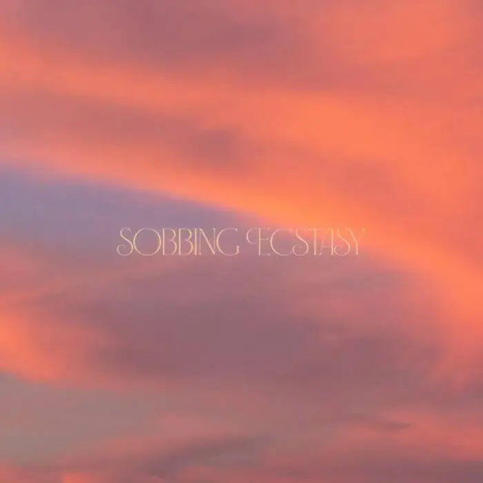 Cover Image: Capyac, Ciceley Fullylove, Def Sound - Sobbing Ecstasy on Nettwerk Music Group