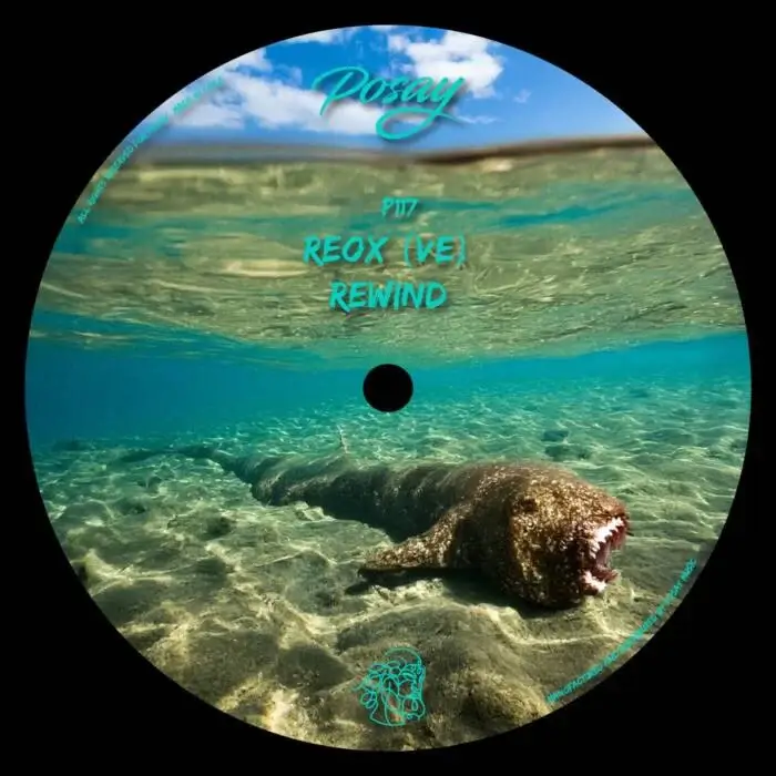 Cover Image: Reox (VE) - Rewind on Posay Music