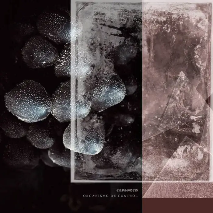 Cover Image: Crushted - Organismo de Control on EXP Records