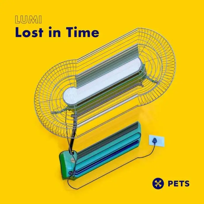 Cover Image: LUMI (FIN) - Lost In Time on Pets Recordings