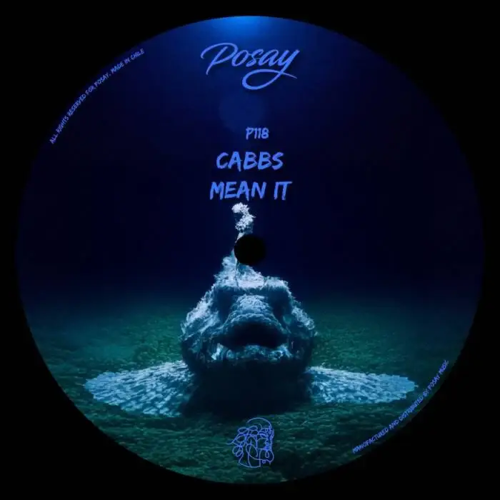 Cover Image: Cabbs - Mean It on Posay Music