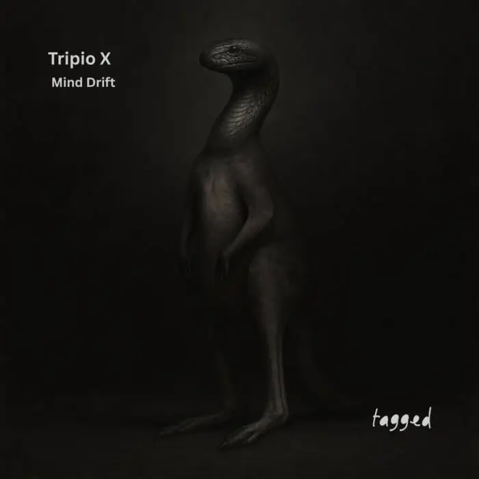 Cover Image: Tripio X - Mind Drift on Tagged Music