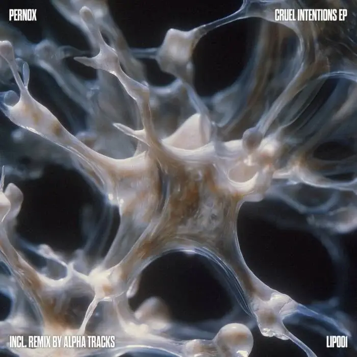 Cover Image: Pernox - Cruel Intentions on Lost In Perception