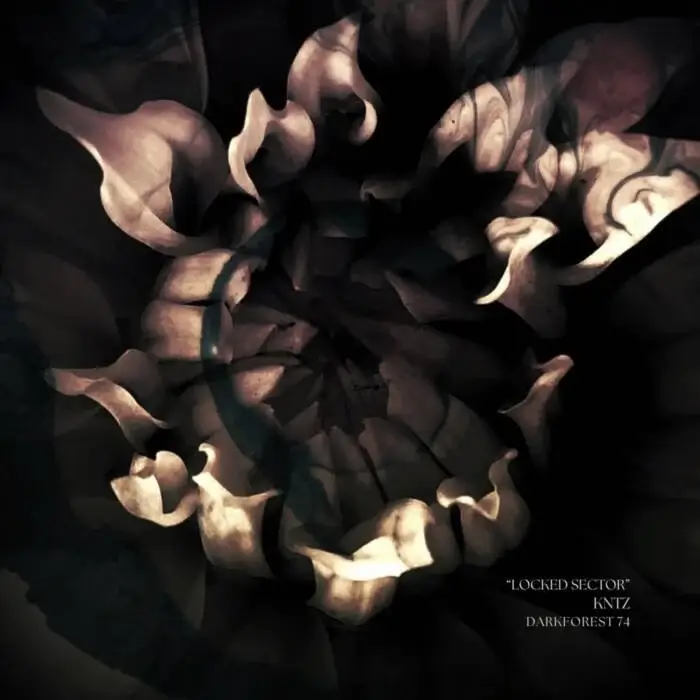 Cover Image: KNTZ - Locked Sector on DarkForest