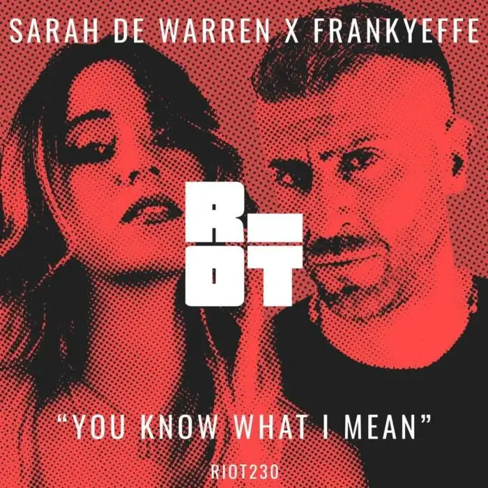 Cover Image: Frankyeffe, Sarah De Warren - You Know What I Mean on Riot Recordings