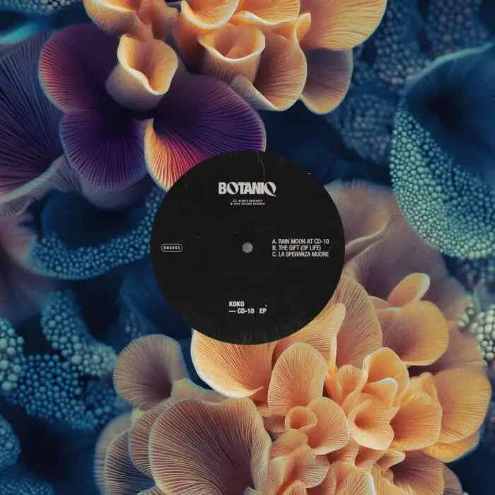 Cover Image: KOKO.IT - CD-10 EP on Botaniq