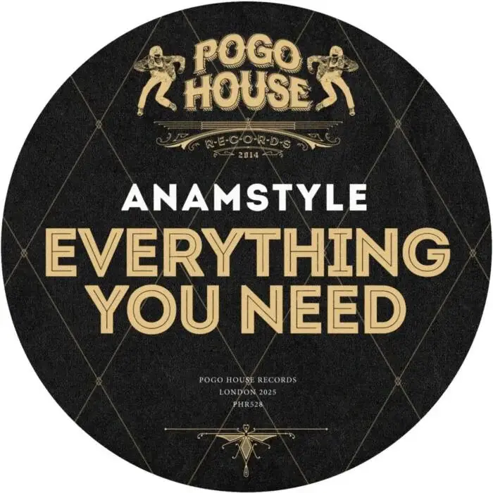 Cover Image: AnAmStyle - Everything You Need on Pogo House Records