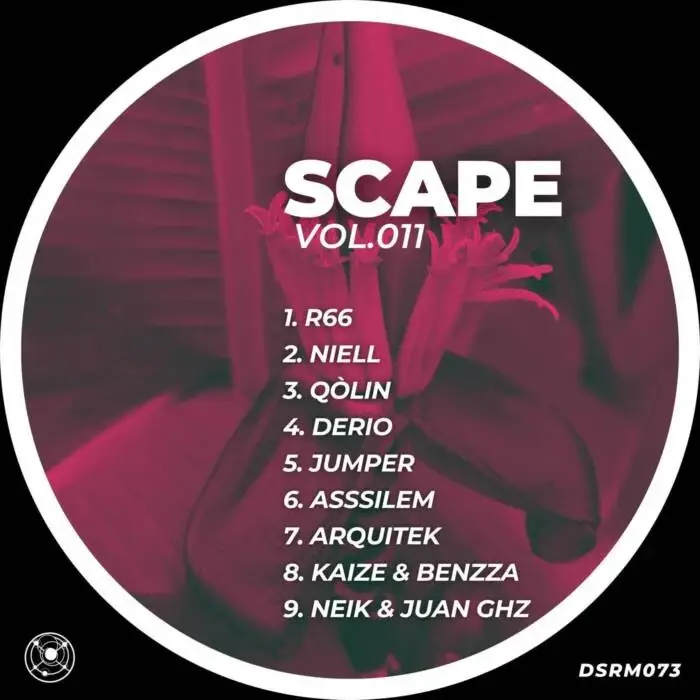 Cover Image: VA - Scape, Vol. 011 on Despair Scape Records
