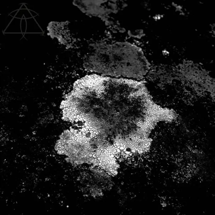 Cover Image: Hugo Mesi - Spicy Baked Lentil on Point Nemo