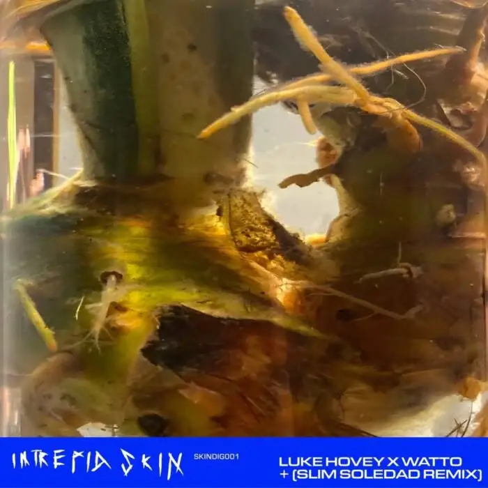 Cover Image: WaTTO, Luke Hovey - Trópico Eléctrico on Intrepid Skin