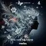 Cover Image for In The Shadow Original Mix