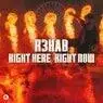 Cover Image for Right Here, Right Now Extended Mix