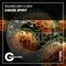 Cover Image for Liquid Spirit Original Mix