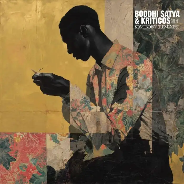 Cover Image: Boddhi Satva, Kriticos - Somebody (Remixed PT.1) on Offering Recordings