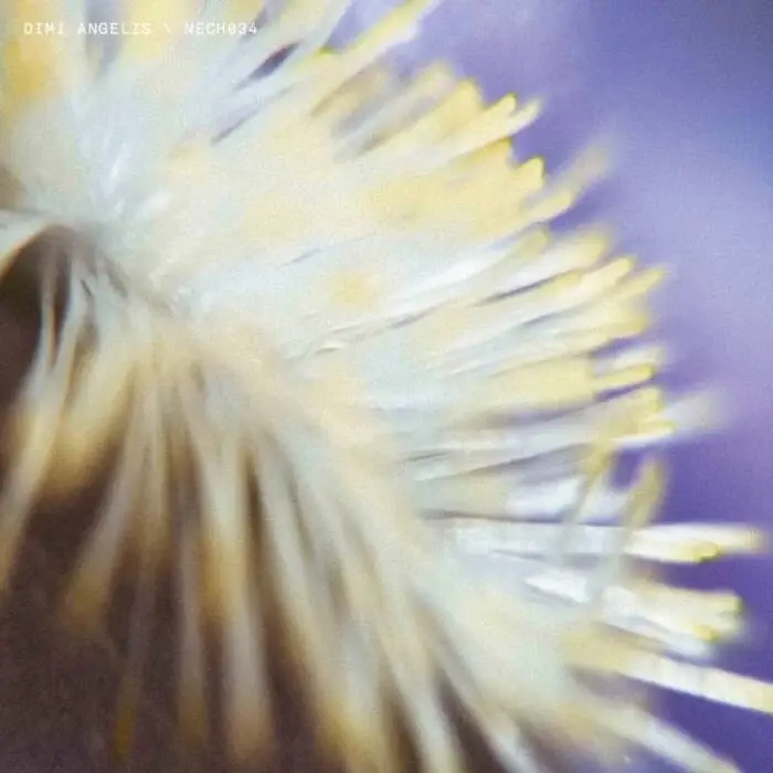 Cover Image: Dimi Angelis - NECH034 on NECHTO Records