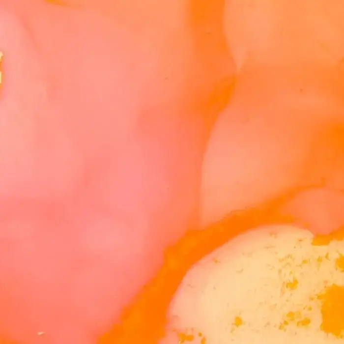 Cover Image: Jon Gurd, Reset Robot - Eclipse on Echo Forms