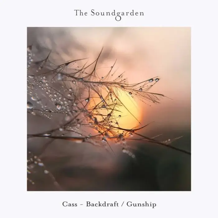 Cover Image: Cass (UK) - Backdraft / Gunship on The Soundgarden