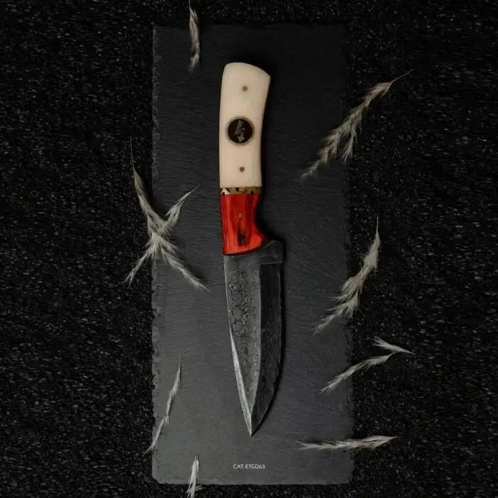 Cover Image: Finalversion3 - Estudio sobre la Belleza de lo Físico on EarToGround Records