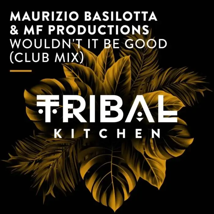Cover Image: Maurizio Basilotta, MF Productions - Wouldn't It Be Good (Club Mix) on Tribal Kitchen
