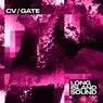 Cover Image for CV／Gate Original Mix