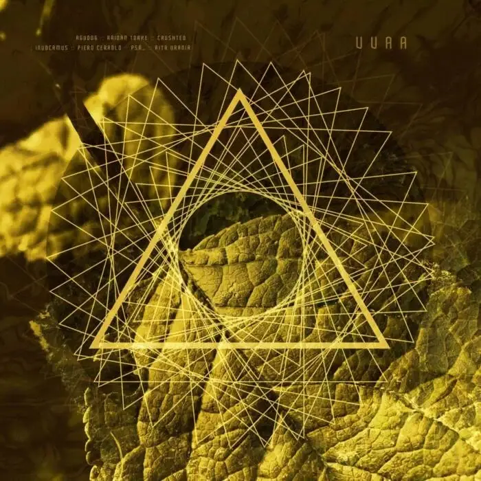 Cover Image: VA - Expr Ep36 Vvaa on EXP Records