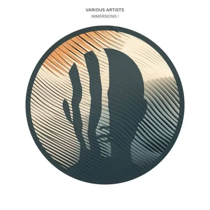 Cover Image: VA - Immersions I on Groove Disorder
