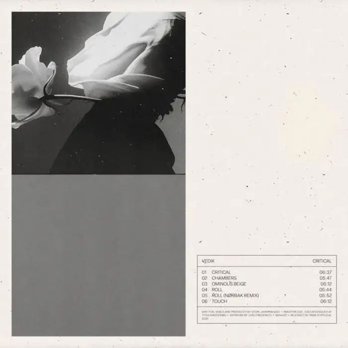 Cover Image: Vedik - Critical EP - incl. Nørbak Remix on NRBK