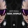 Cover Image for Acid World Original Mix
