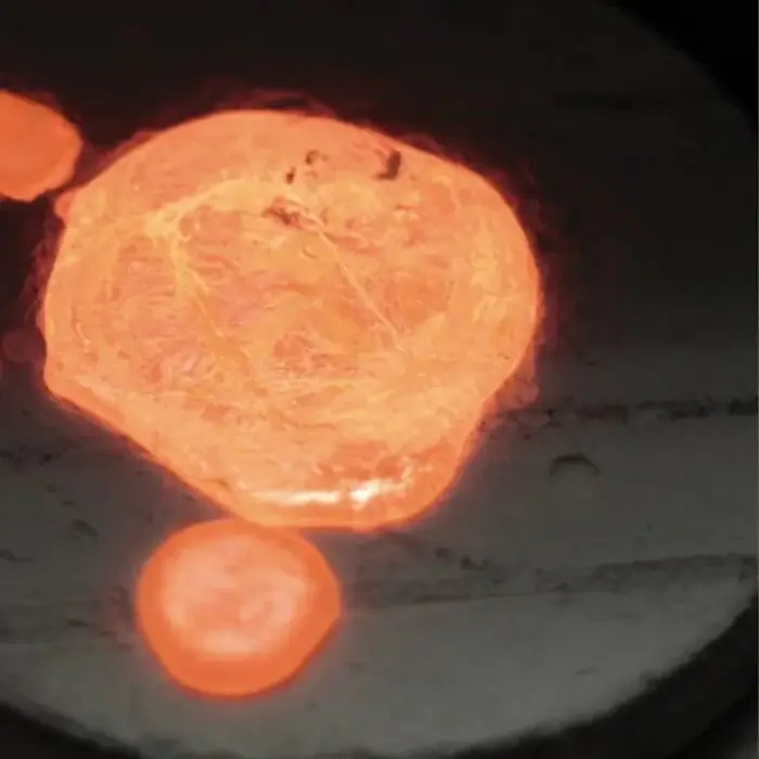 Cover Image: Lucy, Rrose, Lotus Eater - Stars (feat. Lucy & Rrose) on Stroboscopic Artefacts