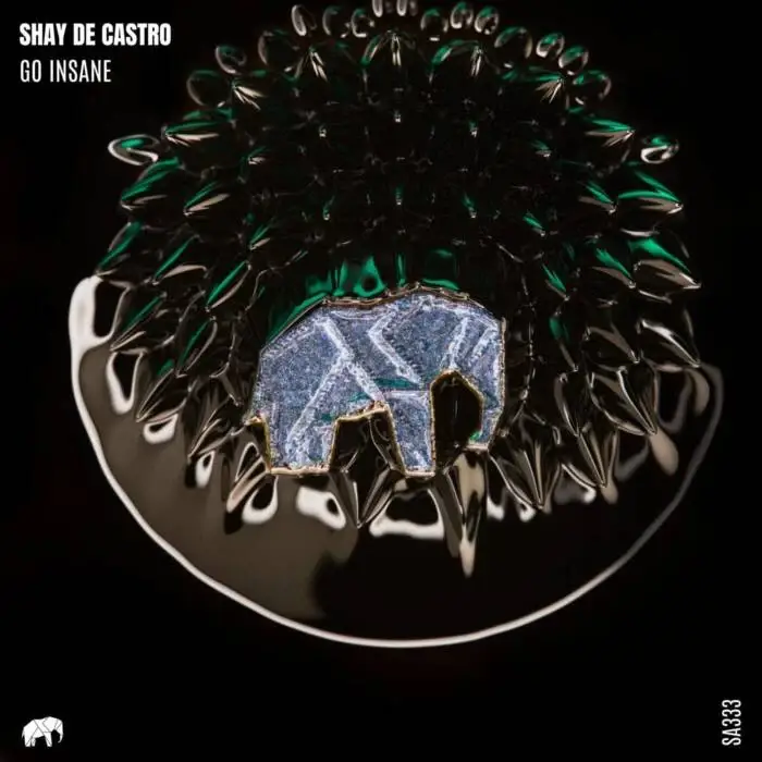 Cover Image: Shay De Castro - Go Insane on Set About Music