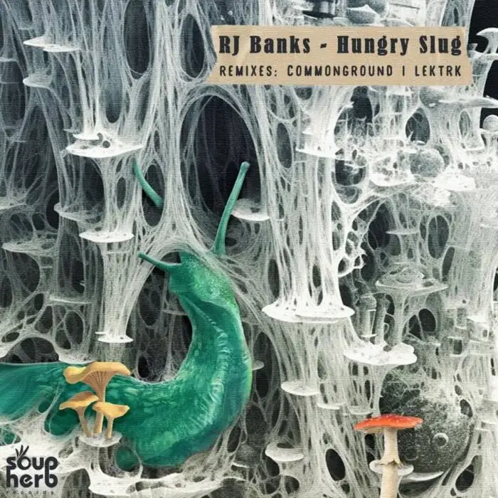 Cover Image: RJ Banks - Hungry Slug on Soupherb Records