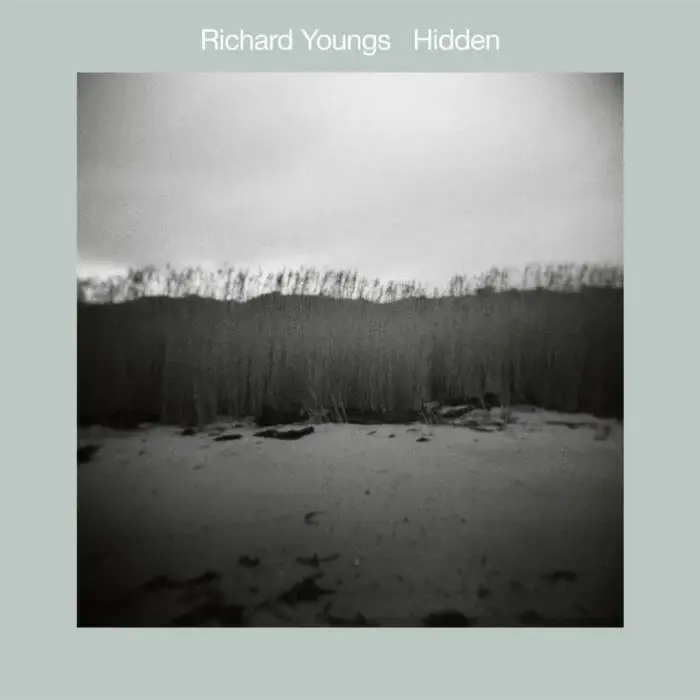 Cover Image: Richard Youngs - Hidden on Black Truffle